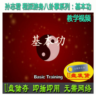 孙志君 程派游身八卦掌系列:基本功U盘视频身法掌法分解讲解教学