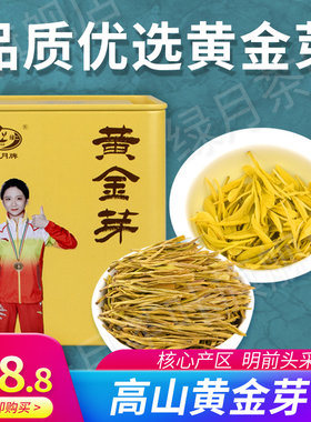 绿月黄金芽2026新茶上市75g罐装黄金茶滋味甘甜茶叶正品明前绿茶