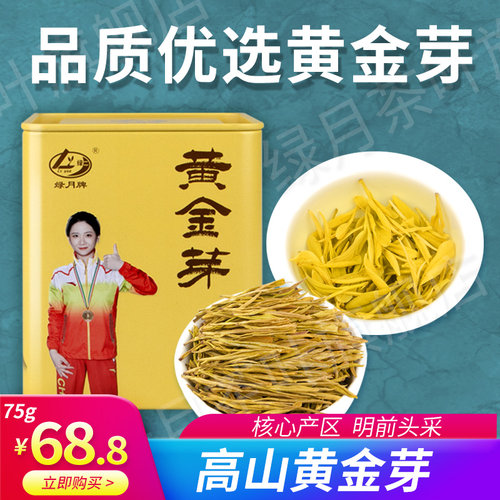 绿月黄金芽2026新茶上市75g罐装黄金茶滋味甘甜茶叶正品明前绿茶
