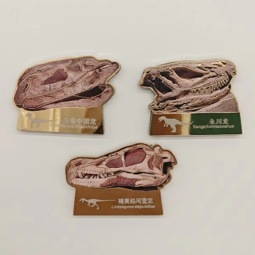 上海自然博物馆3D恐龙头骨冰箱