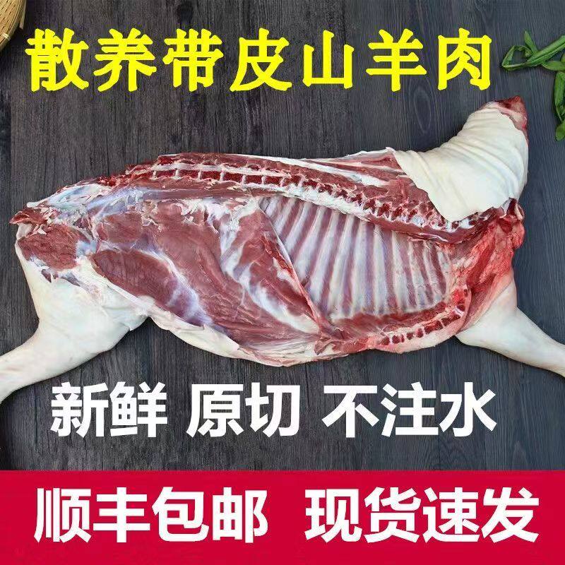 新鲜内蒙散养原切带皮羊排溜达羊