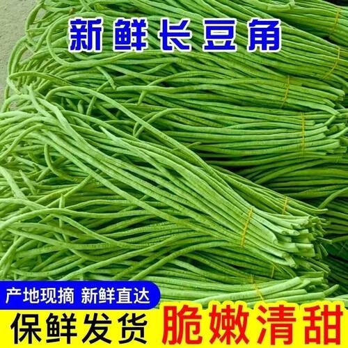 2025现摘农村新鲜嫩豆角农家自种长缸豆角菜豆时令菜安徽岳西特产