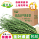 2025烘干黑麦草嫩苗叶多香绿粗纤维磨牙兔子龙猫豚鼠宠物干草500g