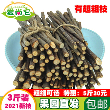 2022新苹果枝甜竹龙猫磨牙棒兔兔豚鼠仓鼠苹果树枝宠物零食3斤装