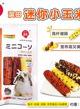 包邮Pet's 88滨田迷你小玉米兔子龙猫仓鼠豚鼠荷兰猪磨牙零食PE34