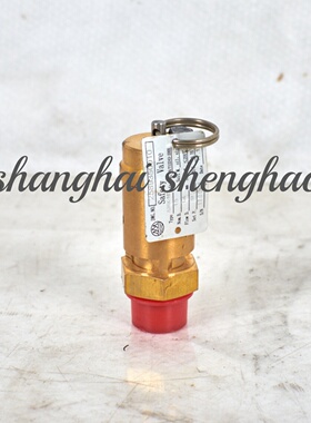 2589350010=9313215-202504-09复盛原厂螺杆空压机SF22A安全阀