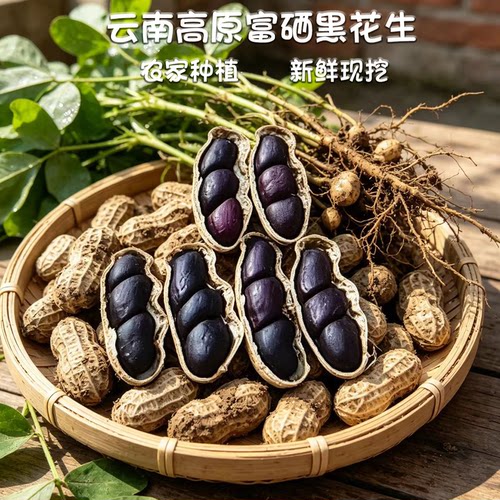 云南高原富硒新鲜黑花生颗粒饱满