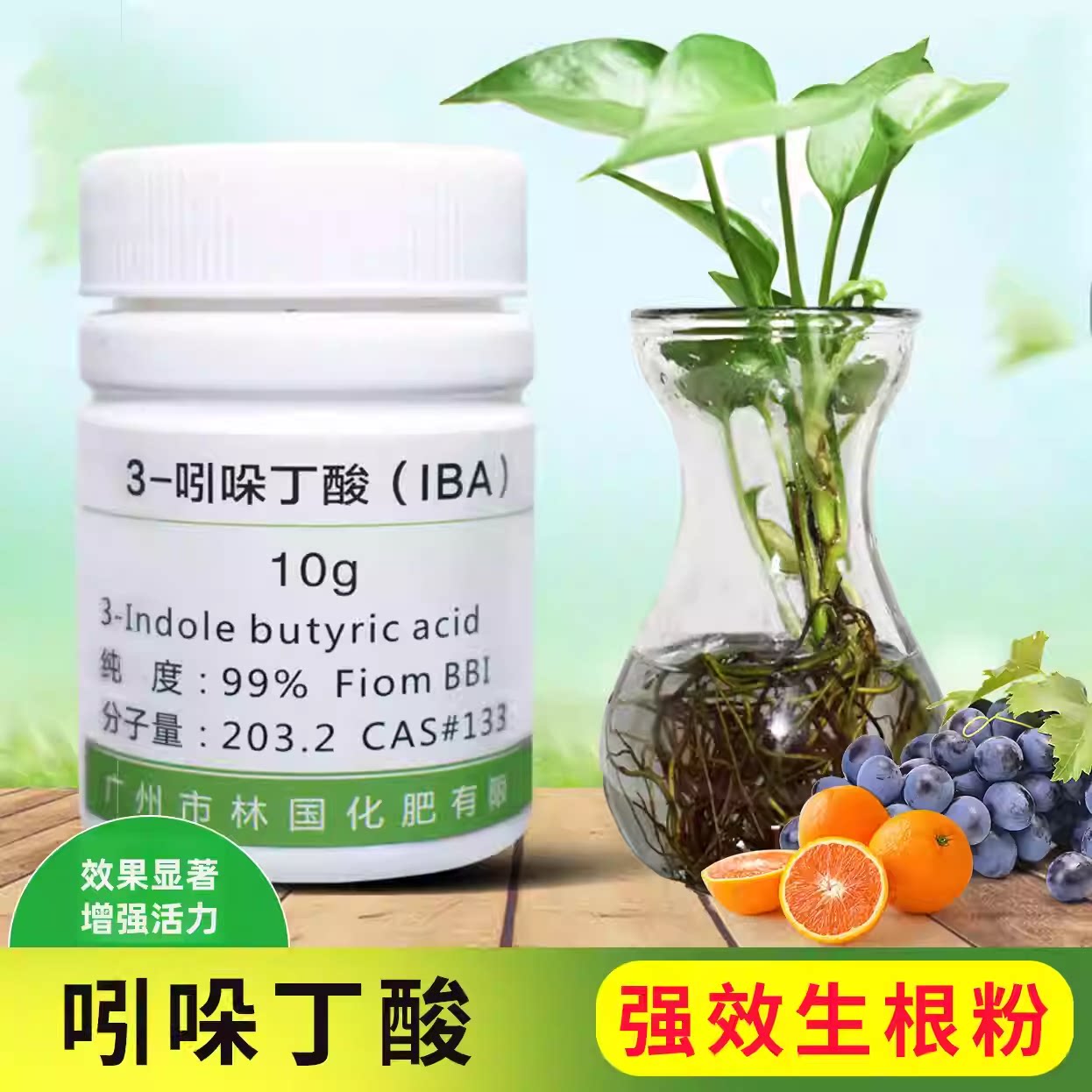林国吲哚丁酸生根发芽移载