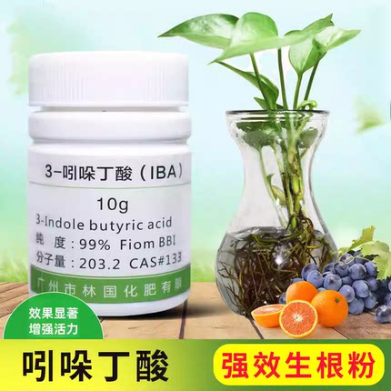 吲哚生根丁酸扦插用生根营养液发根组培植物通用长爆根沉香发根