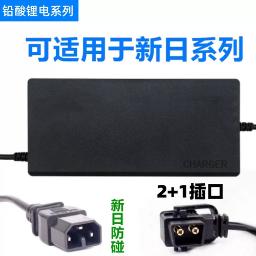 新日电动车通用充电器