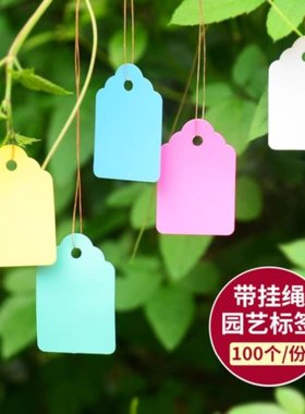 花卉标签吊牌防水可手写户外绿植