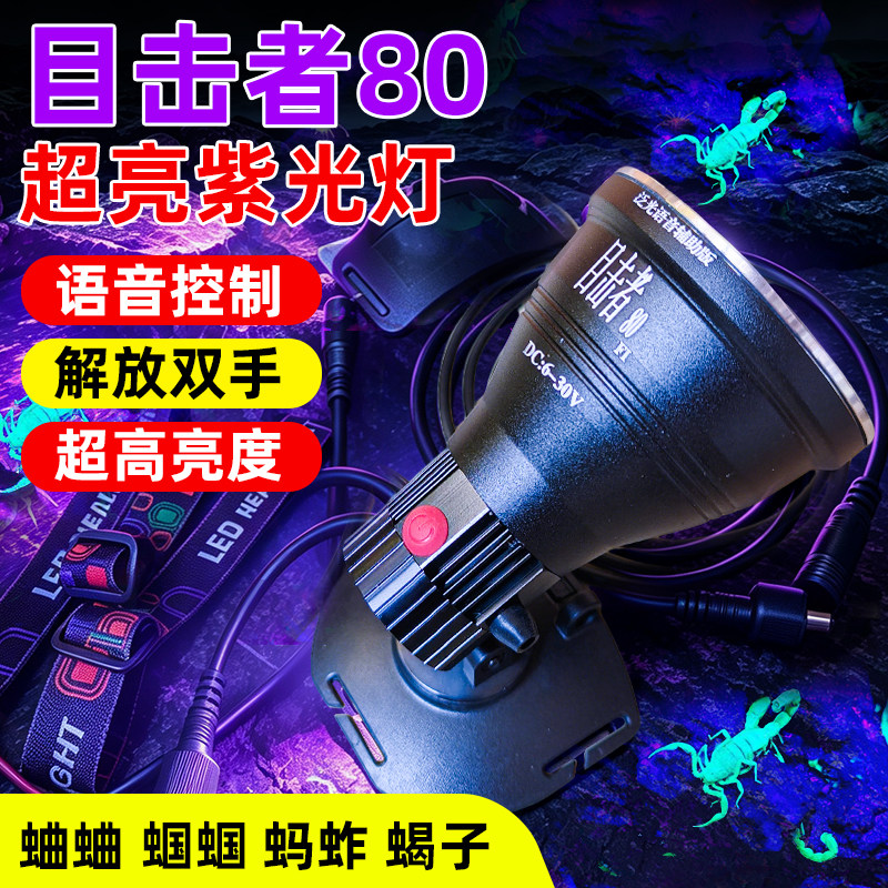 目击者80紫光蝎子灯蚂蚱蛐蛐灯