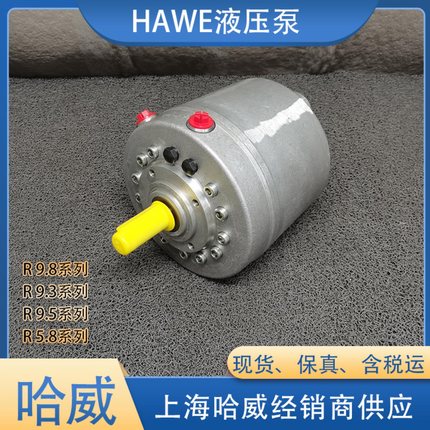 德国R 200-AT径向柱塞泵6012系列四排缸泵HAWE哈威R系列油泵