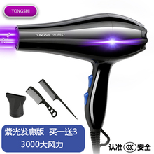 宠物。狗狗大功率家用不伤发吹风机1