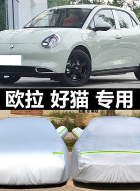 适用于长城欧拉好猫电动车衣车罩