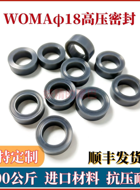 WOMA清洗机阀组密封圈高压密封