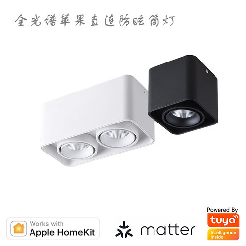 matterhomekit直连绿米明装射燈