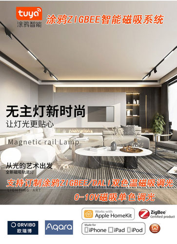 Matter Thread智能0-10V/DALI调光调色磁吸轨道灯涂鸦ZigBee轨道