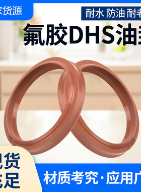 氟胶棕色尘封DHS/LBH80*90/85*95/90*100/95*105/98*108*6/8防尘