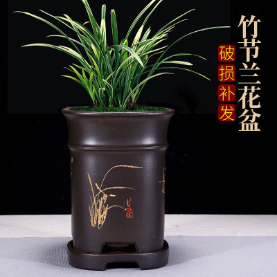 紫砂花盆方形兰花盆室内阳台绿植陶瓷花盆兰花君子兰专用盆清仓