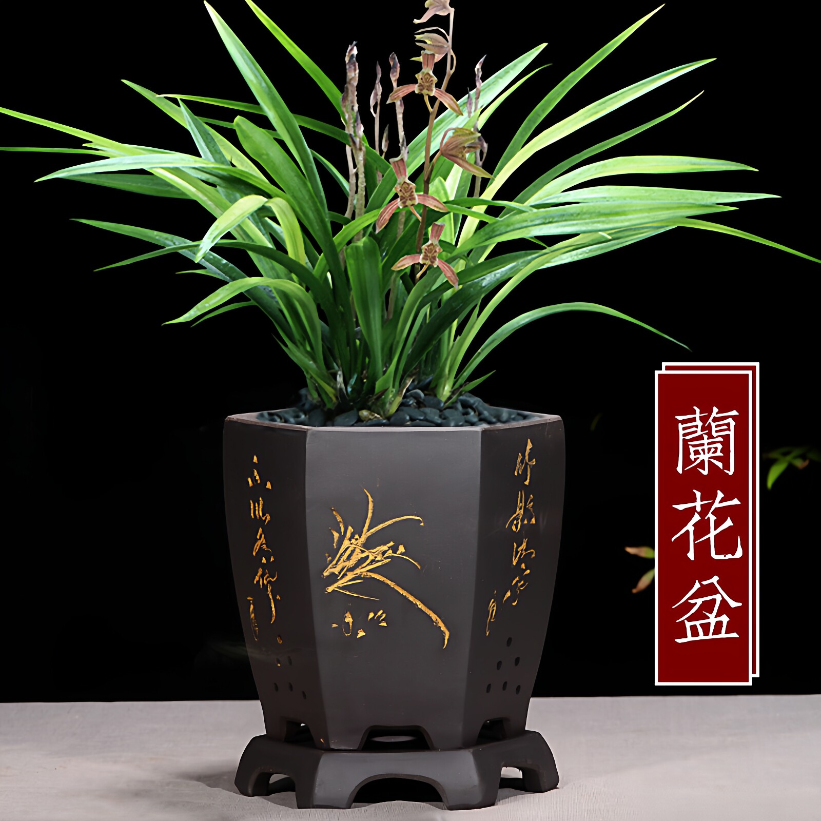 宜兴紫砂花盆特价精品兰花盆室内桌面植物盆君子兰文竹盆陶瓷花盆