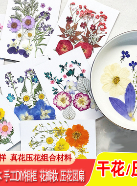 水扇子植物干花压花灯手工diy树叶滴胶手机壳填充押花团扇书签