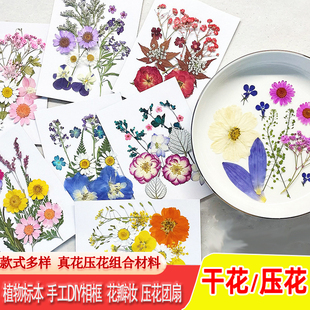 水扇子植物干花压花灯手工diy树叶滴胶手机壳填充押花团扇书签