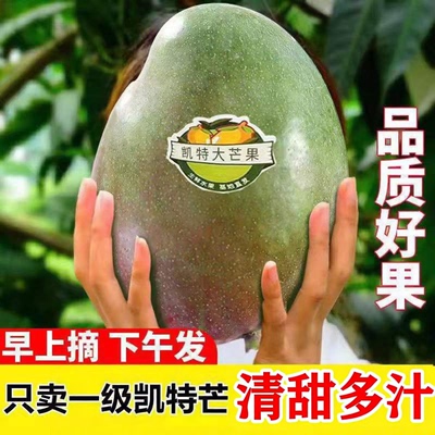 四川攀枝花凯特芒果新鲜9斤当季