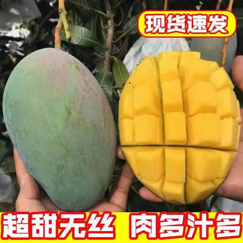 四川攀枝花凯特芒果10斤新鲜水果包邮当季特大青皮芒现货忙果扶农
