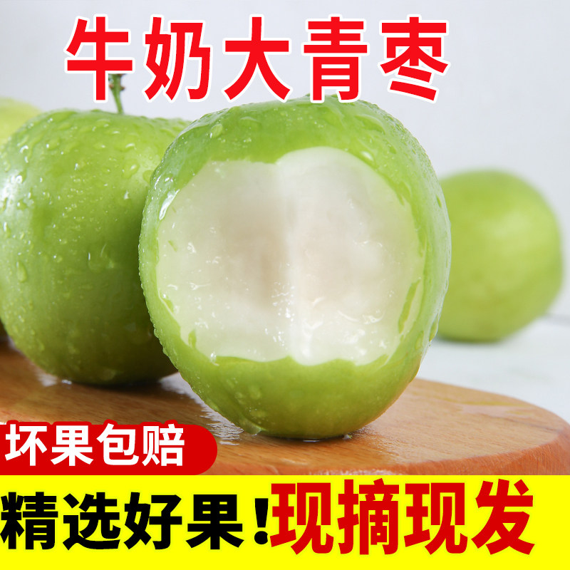 牛奶枣大青枣水果包邮 新鲜5斤整箱台湾应季3脆特大蜜枣冬枣子10