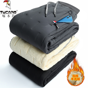 防风防水保暖女长裤 男加绒加厚棉裤 户外羊羔绒冲锋裤 啄木鸟冬季