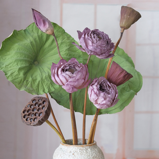 天然荷花荷叶干花花束摆件客厅插花装饰品禅意茶室民宿软装真花