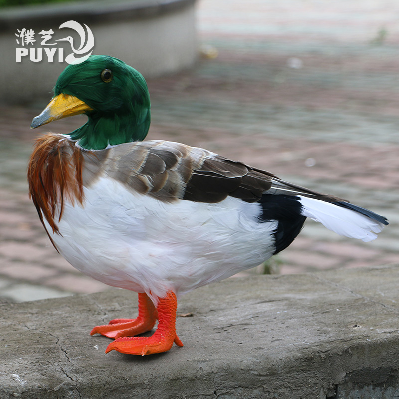 【仿真羽毛鸭子】家鸭水鸭园动物模型林景观装饰教学道具户外摆件