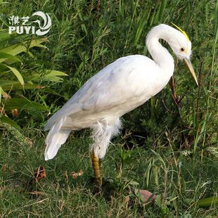 仿真羽毛白鹭黑颈鹤朱鹮灰鹤枇杷鹭模型纯白园林大白湿地动物摆件