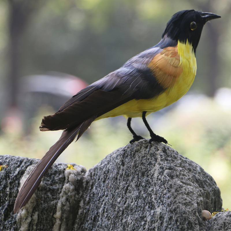 仿真唯美稀有羽毛鸟类蓝冠噪鹛鸟定制新品家居阳台装饰摆件装饰