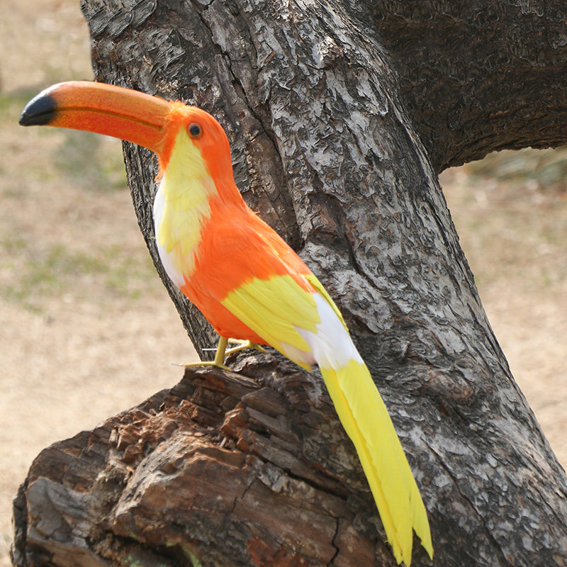 仿真羽毛鸟大嘴鸟巴西巨嘴鸟创意摆件橱窗装饰园林摄影道具大嘴鸟