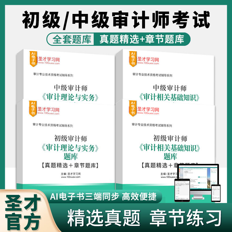 初级中级审计师初级中级审计师