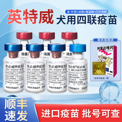 英特威四联犬用4联防疫疫苗狗四联疫苗犬瘟细小防疫成犬疫苗单针
