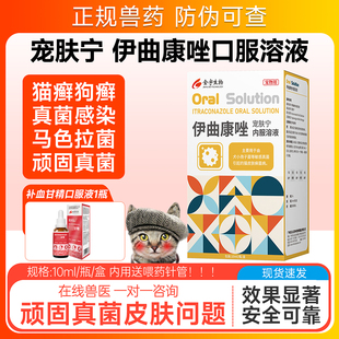 金宇伊曲康唑口服液猫咪猫藓真菌药宠物猫癣皮肤病猫红疹马拉色菌