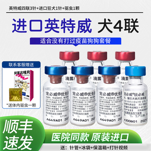 英特威四联狗狗疫苗幼犬预防细小犬瘟狂犬狗疫苗小狗宠物育苗