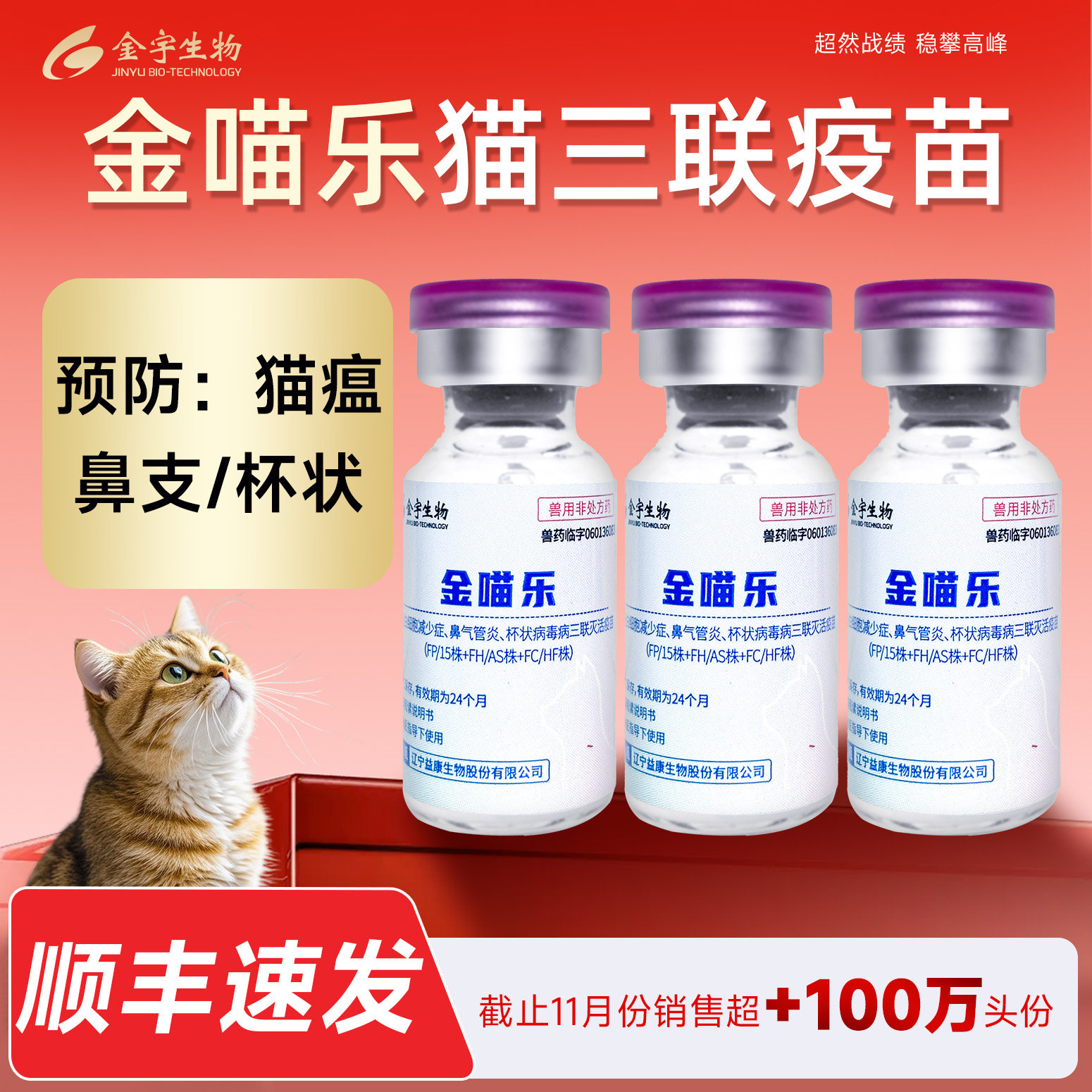 猫咪疫苗猫三联狂犬国产金喵乐猫康宁猫疫苗预防猫瘟鼻支一套自打