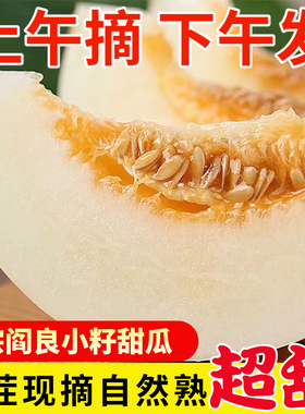 陕西阎良甜瓜10新鲜水果当季整箱包邮蜜瓜脆小籽白瓜蜜香瓜羊角