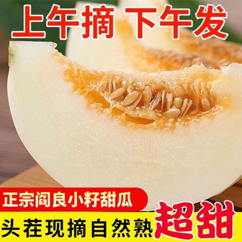 【优质产区】2026年阎良小籽甜瓜