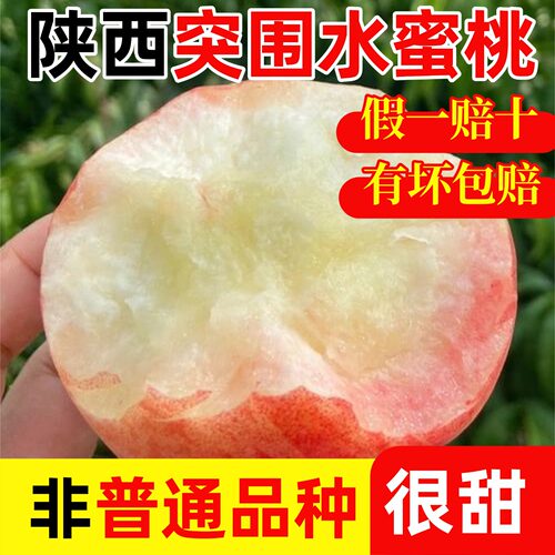 【源头好货】2026陕西纯甜水蜜桃
