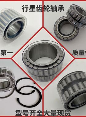 行星回转减速机轴承F-208099 219012 219590 219593 RNN3004 RSL