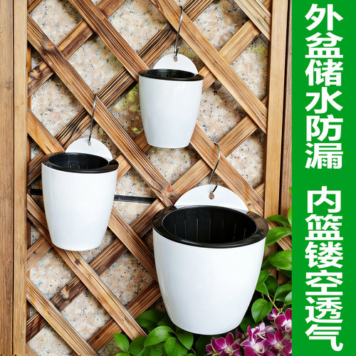 挂墙上花盆栽绿萝自吸水壁挂储水简约创意挂栏杆花卉种植水培花篮 - 封面