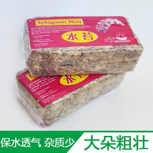 优质粗花水苔蝴蝶兰捕蝇草营养土