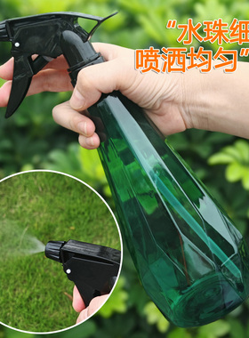 透明绿色灰色小喷壶气压喷雾瓶阳台窗台种盆栽植物家用园艺浇水壶