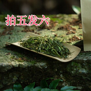 拍五发六 长兴春茶绿茶新茶紫笋茶群体种雨前茶散装50克 满88包邮