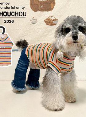 丑丑小型犬狗衣服彩虹打底衫2026新款纯棉宠物T恤泰迪比熊雪纳瑞